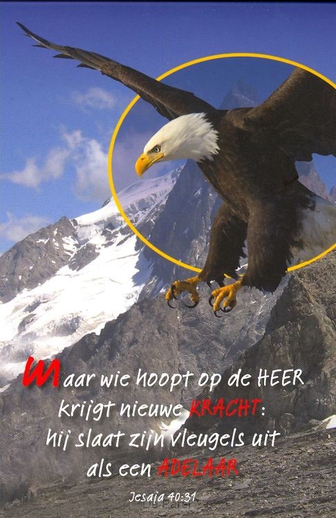 Schrijfblok A6 arend Jesaja 40:31