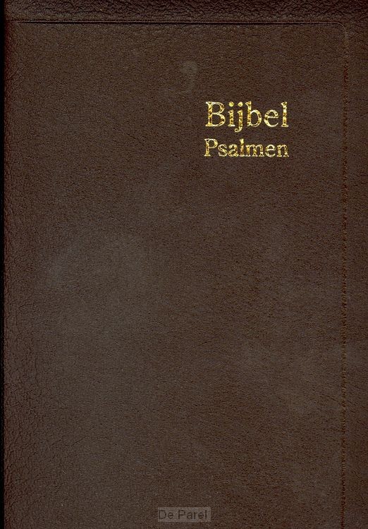 Herenzakbijbel H35R RITMISCH leer goudsn