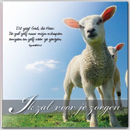 Wenskaart Ik zal voor je zorgen