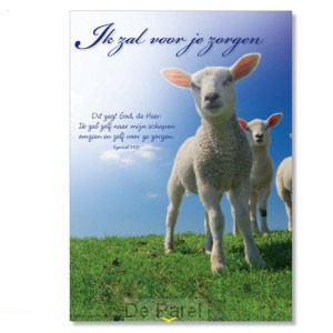 Poster Ik zal voor je zorgen