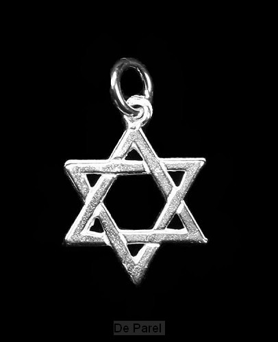 Hanger zilver davidster groot
