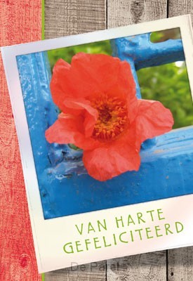 Wenskaart hsv gefeliciteerd rode bloem