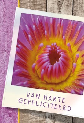 Wenskaart gefeliciteerd paars bloemhart