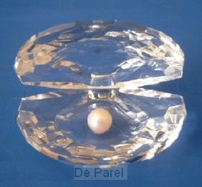 SCHELP KRISTAL MIDDEL 3X5CM