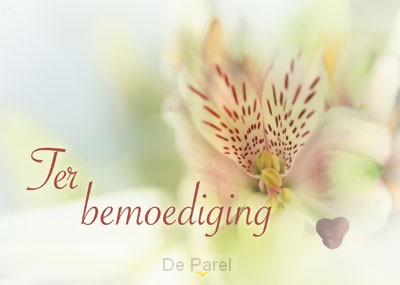 Ek sterkte ass zt bloemen
