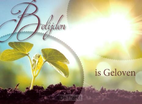 Prentbriefkaart belijden is geloven mt