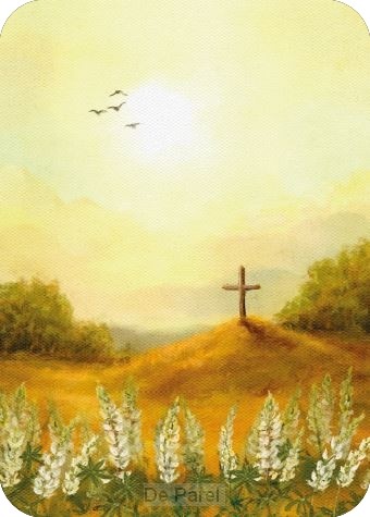 Gefeliciteerd met je belijdenis