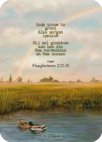 Gods zegen in het nieuwe levensjaar