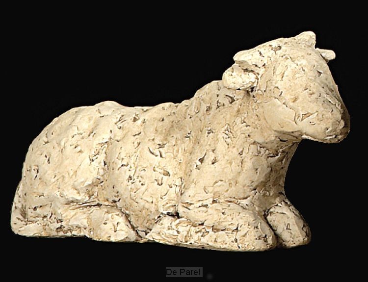 Rhythm of the heart DVD