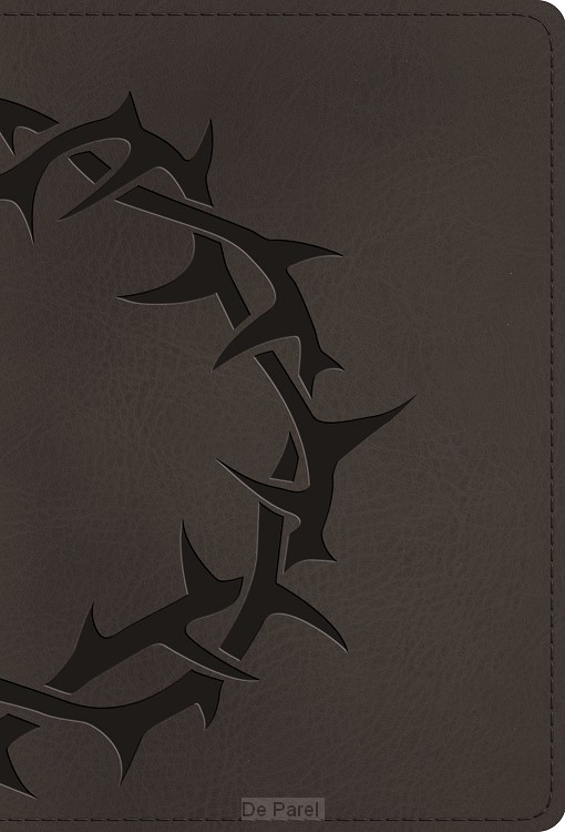 ESV - Large Print Compact Bible