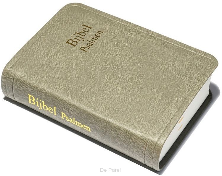 Zakbijbel D31RTP Taupe kunstleer