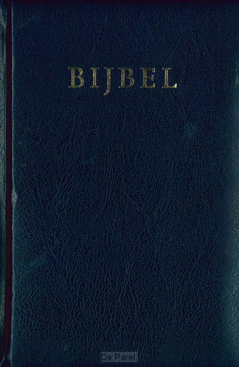 Huisbijbel 1323 nv blauw