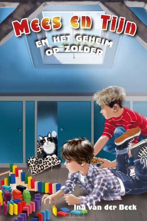 Mees en Tijn en het geheim op zolder