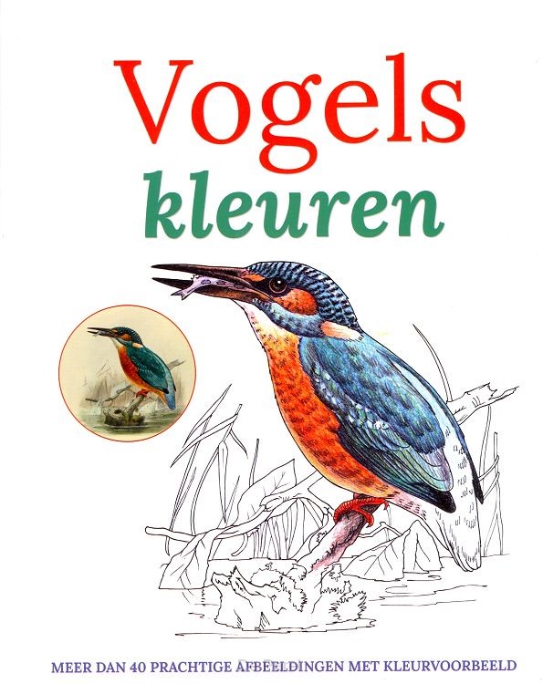 Vogels kleuren