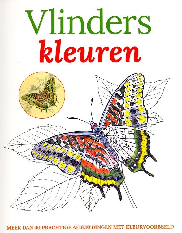 Vlinders kleuren