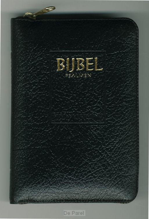 BIJBEL STV MIC 612811+PSALMEN 12GEZ RITM