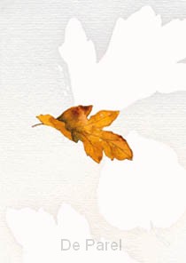 HERFSTBLAD CONDOLEANCE