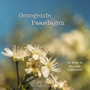 Kaart gezegende paasdagen bloesem