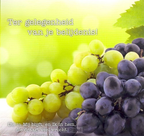 Kaart tg van je belijdenis  Joh 15:5