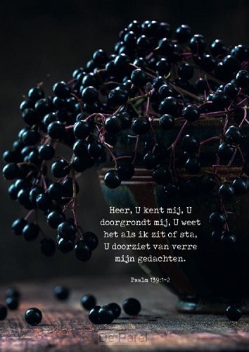 Poster Heer U kent mij