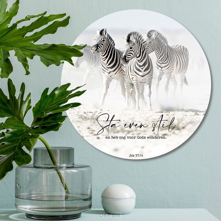 Muurcirkel zebra's sta even stil
