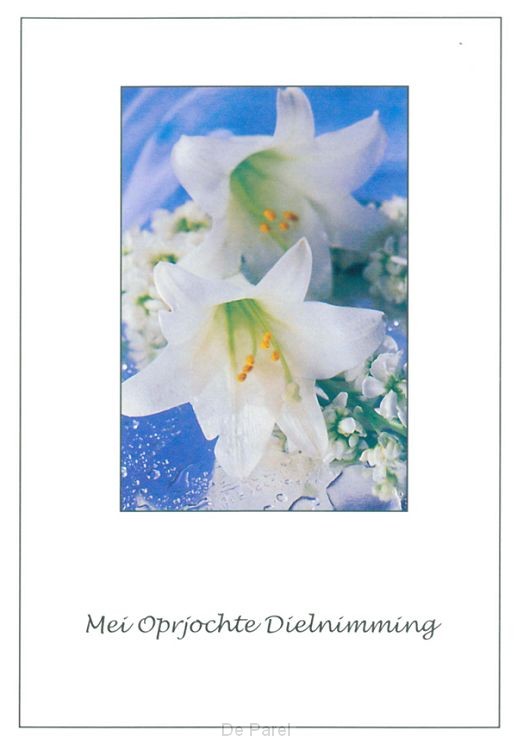 MEI OPRJOCHTE DIELNIMMING BLAUW