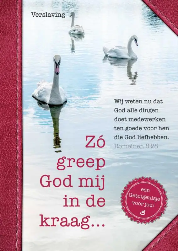 Zo greep God mij in de kraag