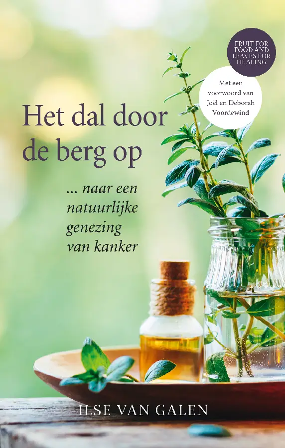 Het dal door de berg op