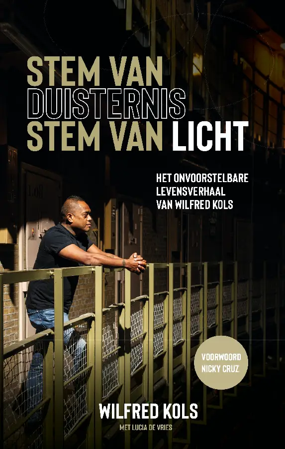 Stem van duisternis