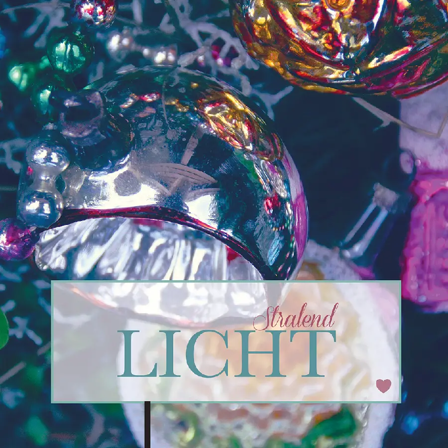 DOOS 20 STUKS (NATUUR)