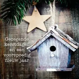 Kerstkaart vogelhuisje en ster gezegende
