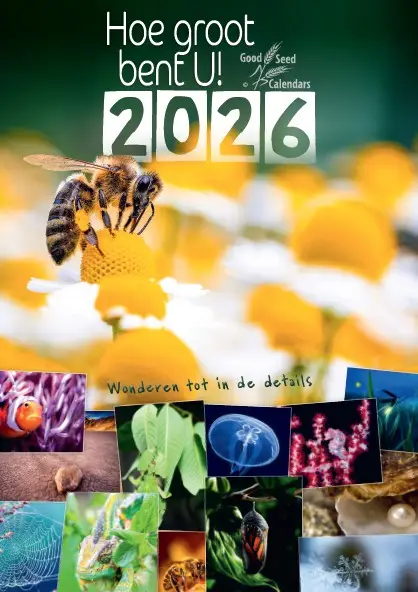 Posterkalender Hoe groot bent U! 2022