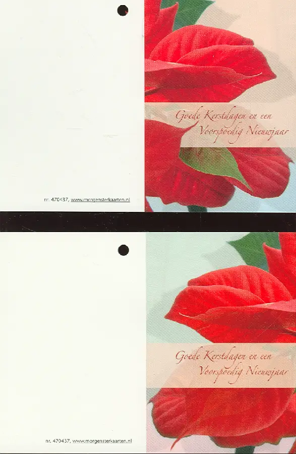 Lb kerst ass zt kerstroosbl