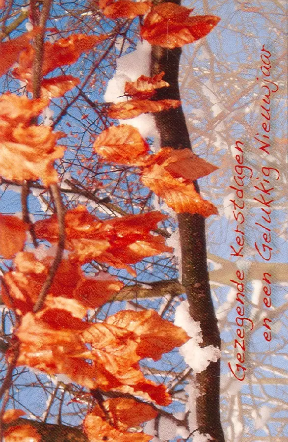 Mi kerst pk nbv boomtakken