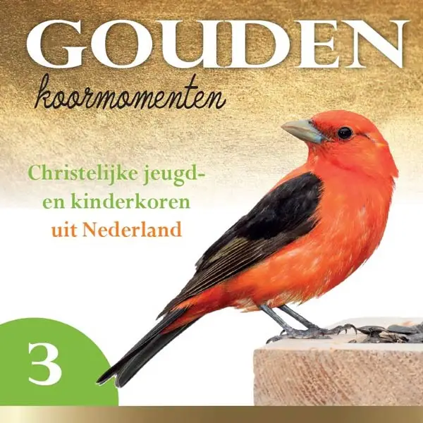 GOUDEN KOORMOMENTEN 3