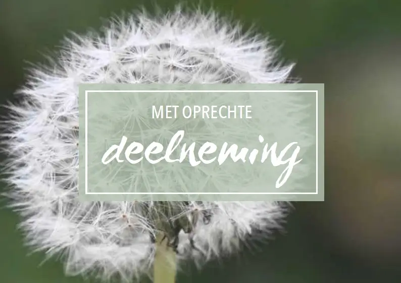 Wenskaart beterschap