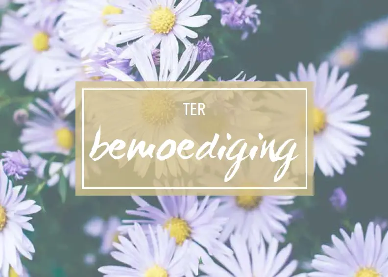 Wenskaart bemoediging