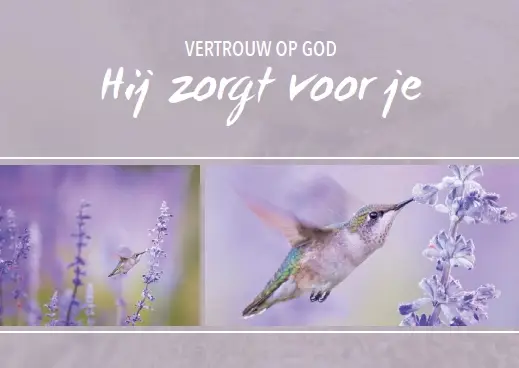 Wenskaart gefeliciteerd