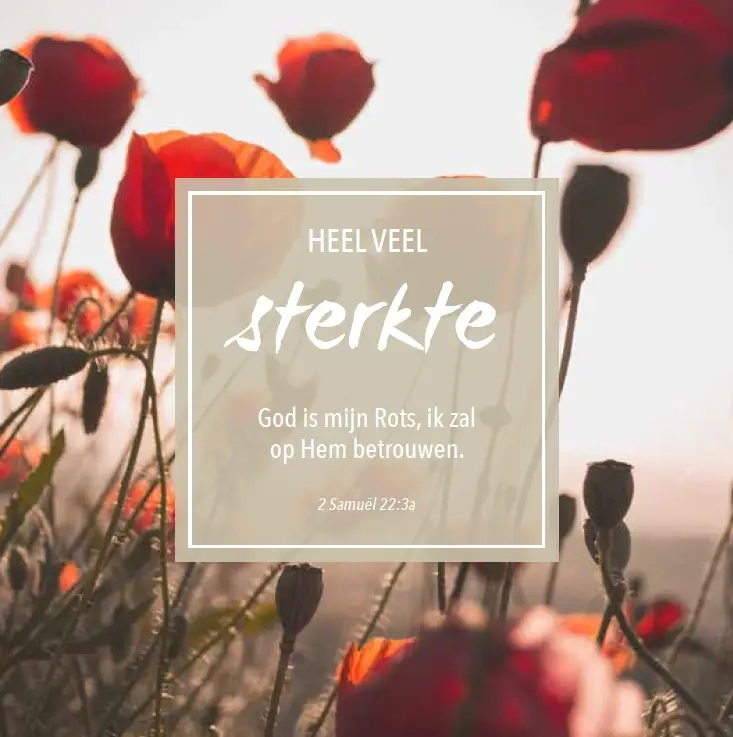 Wenskaart sterkte mt