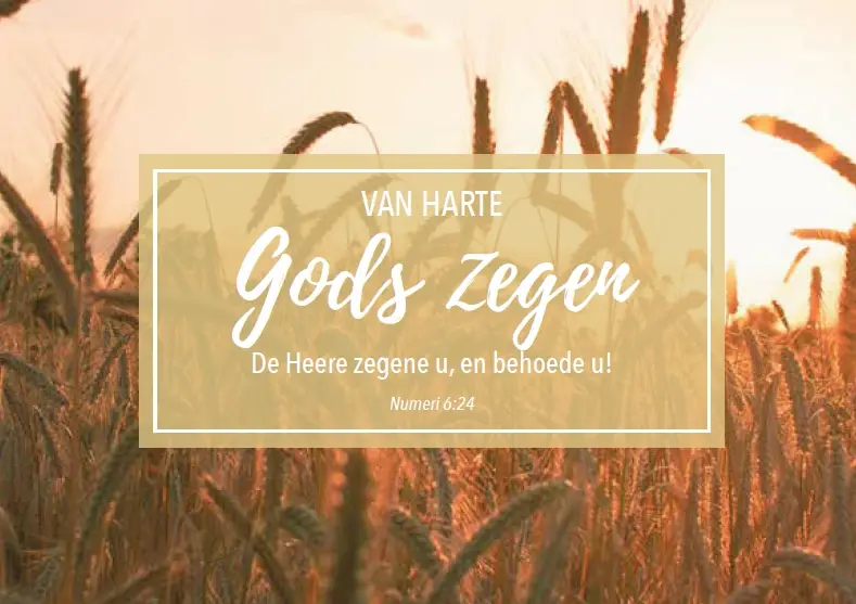 Wenskaart gefeliciteerd mt