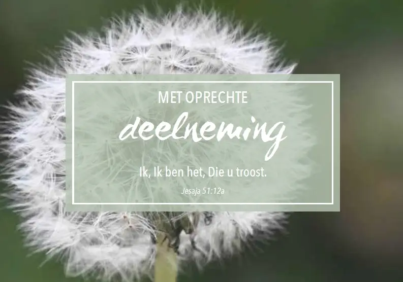 Wenskaart beterschap mt