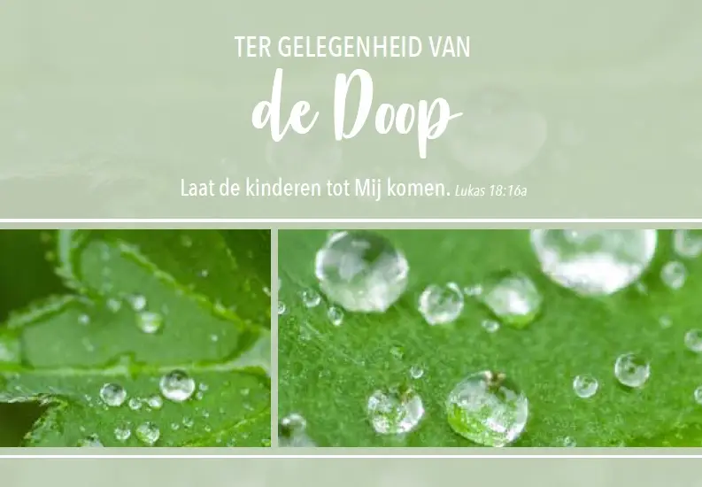 Wenskaart doop mt