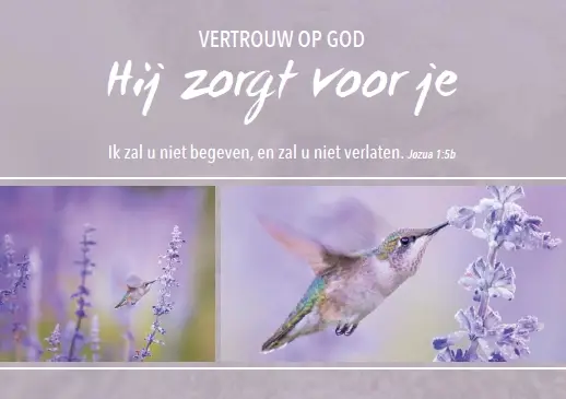 Wenskaart gefeliciteerd mt