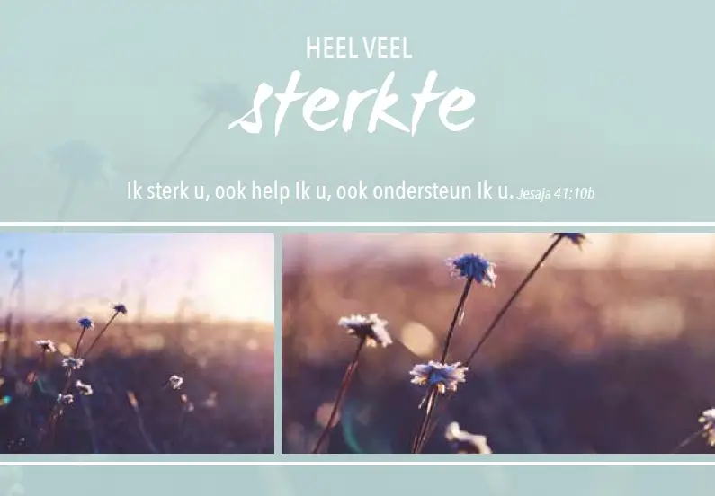 Wenskaart sterkte mt