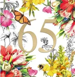 WENSKAART FELICITATIE