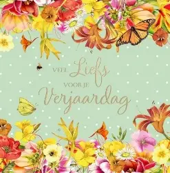 WENSKAART FELICITATIE