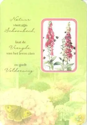 WENSKAART VERJAARDAG