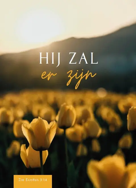 Wenskaart geboorte zoon