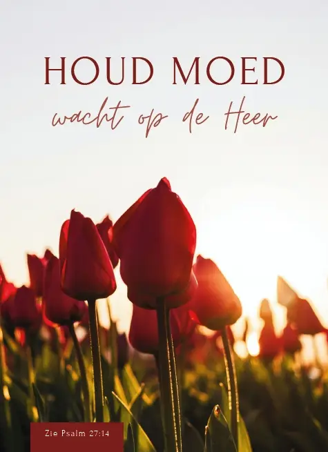 Wenskaart bemoediging