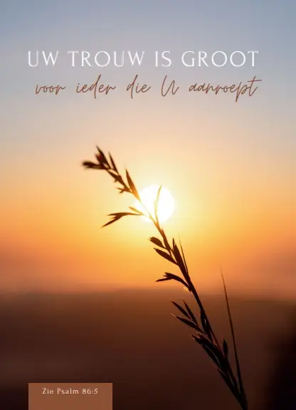 Wenskaart bemoediging